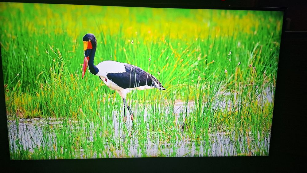 Telewizor Samsung 49"Smart 4kUHD