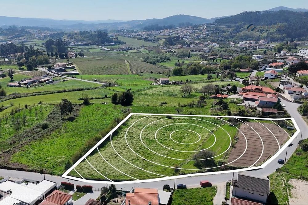 Terreno em Gondalães – 7.779 m²