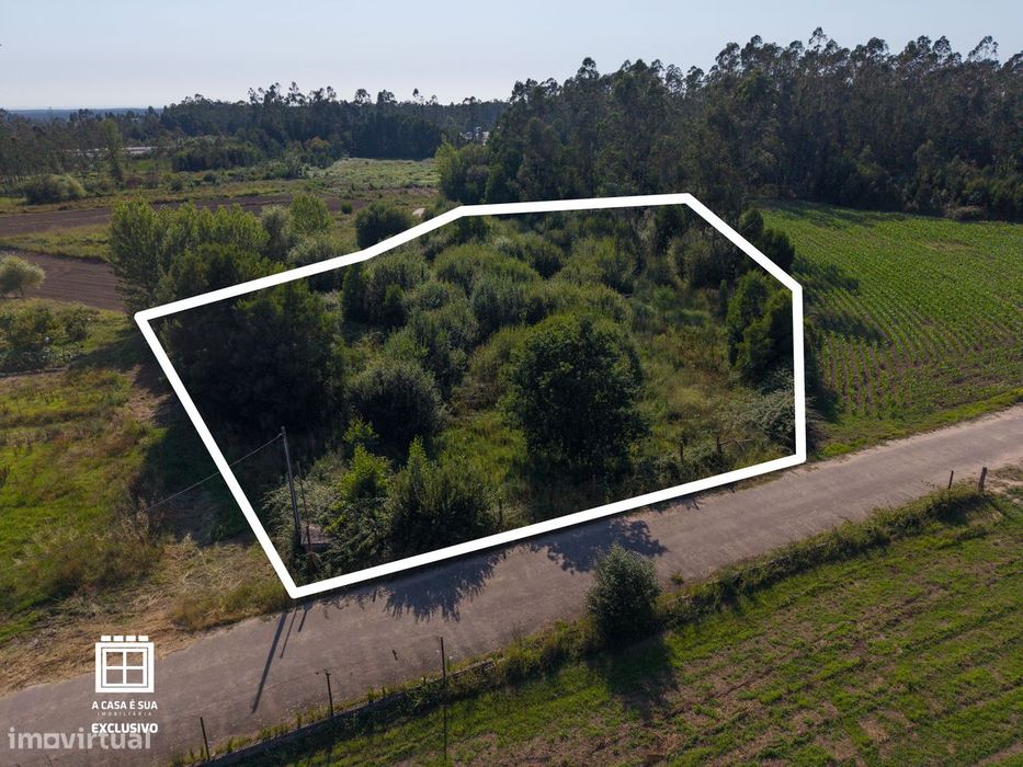 Terreno agrícola com 6.050 m² em Arada, Ovar - Exclusivo