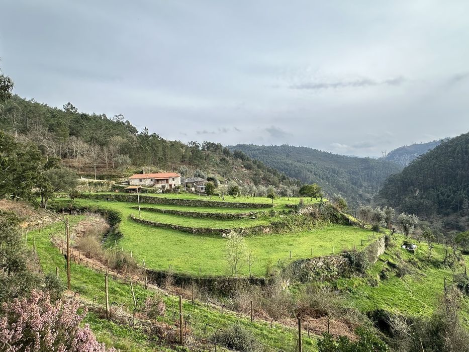 Quintinha em Arouca com 5700 m2