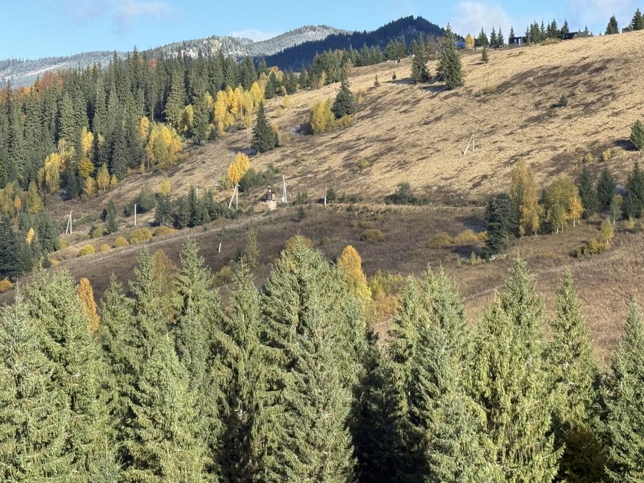 20 соток у Дземброні