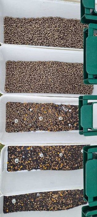 Separator Ziarna ISM -10, wialnia, czyszczalnia