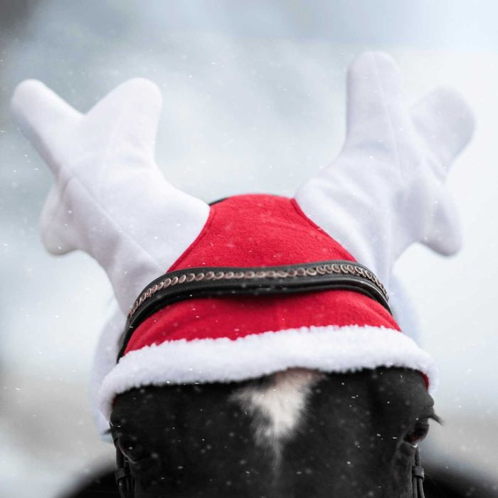 Zestaw York świąteczny czaprak nauszniki Renifer owijki szalik FULL