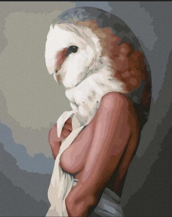 Malowanie po numerach - Kobieta Sowa 40x50 cm Twoje Hobby pudełko,