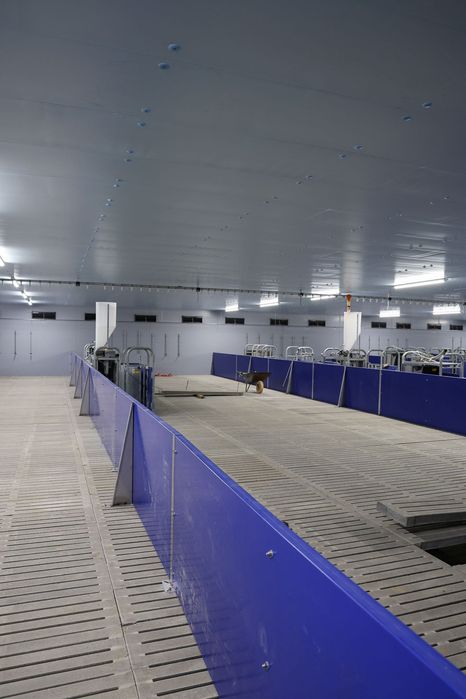 Izolacja Tuczarni Podsufitka Podbitka Sufit Strop Styrodur XPS AGRO