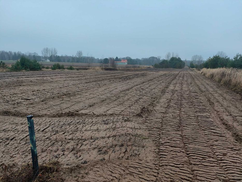 Działka 30 arów + WZ | 15 km od Lublina | Lasy Kozłowieckie