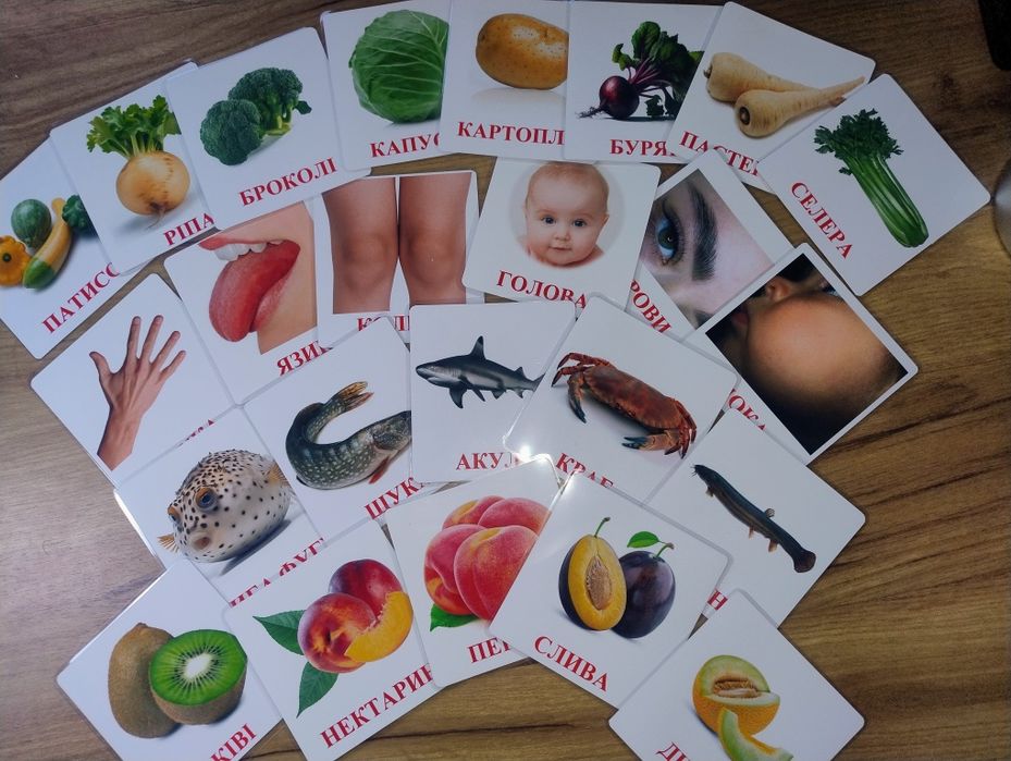 Картки Домана, розвиваючі картки, ранній розвиток