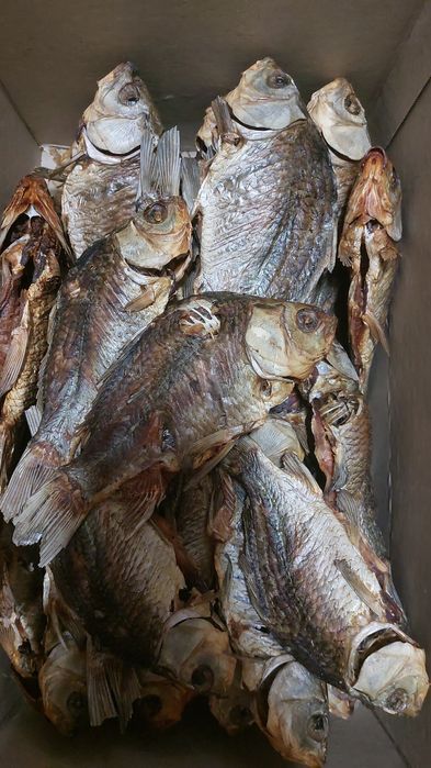 Риба з печі хрустка(плотва, карась, лящ) печена на соломі