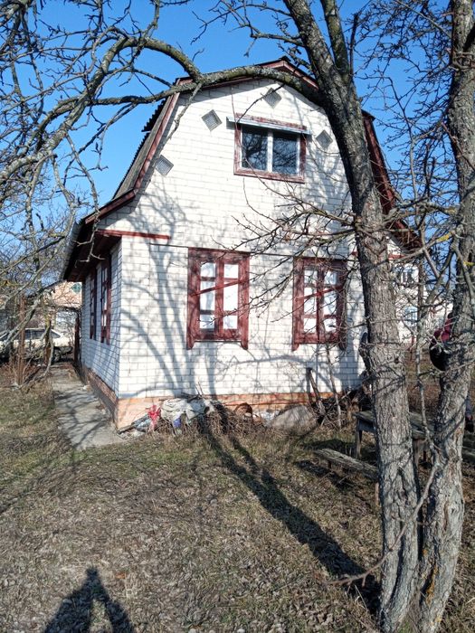 Продам дачу в Хвилівці Ніжинського району.