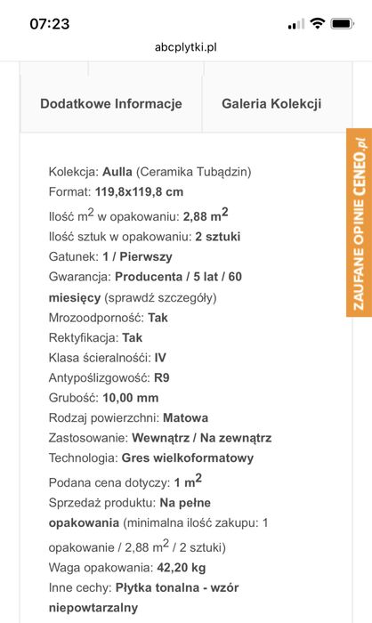 TUBĄDZIN Aulla Graphite STR Gres 119,8x119,8