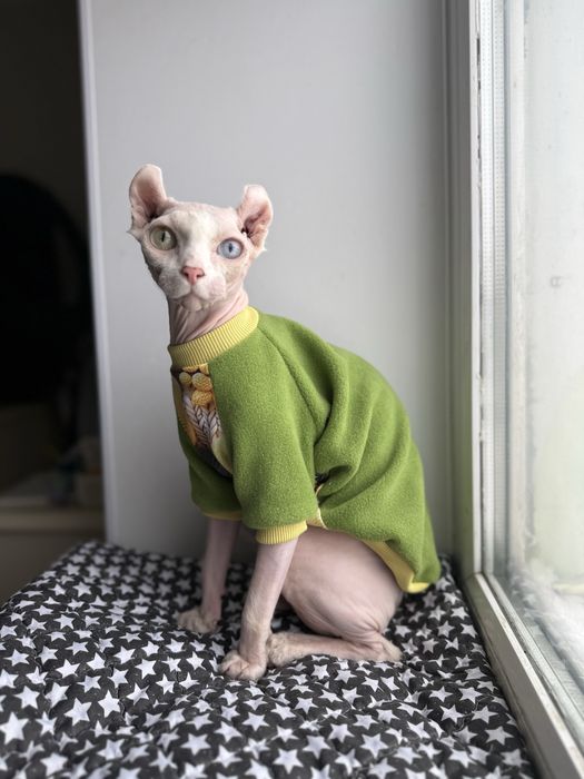 Одяг для сфінксів, одяг для котів, теплий одяг для сфінксів