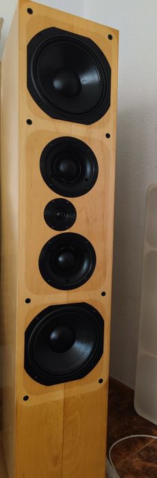 ProAc D100 - Modelo raro em Portugal