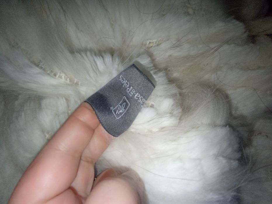 Capas da casa das peles