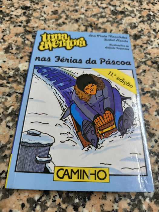Livro uma aventura nas férias da pascoa