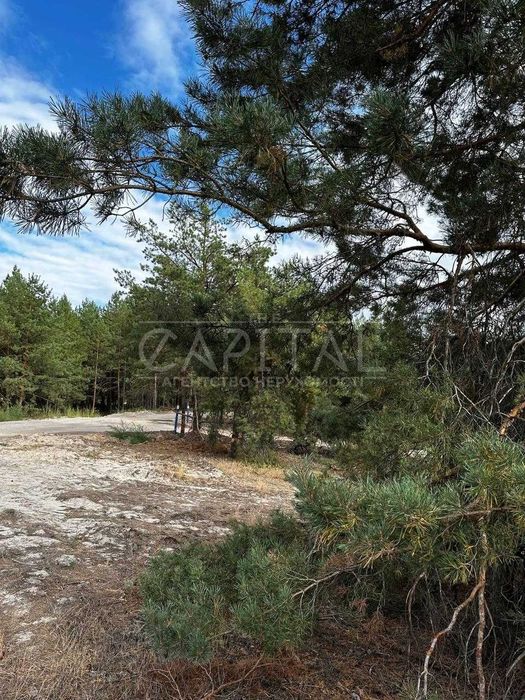 Продажа участка, Riviera Village, Лебедевка, Вышгородский