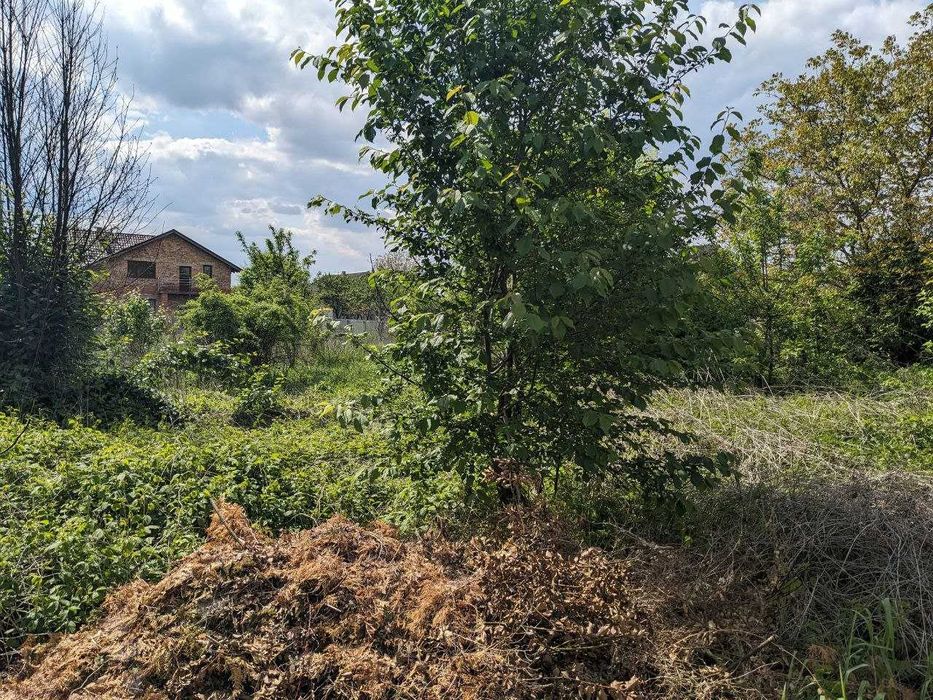 Продається 12 сот під будівництво в с.Загвіздя (8)