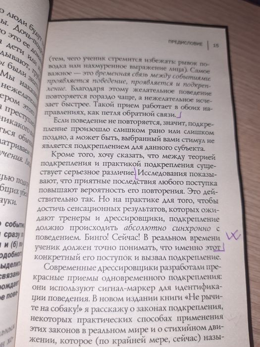 Не рычите на собаку