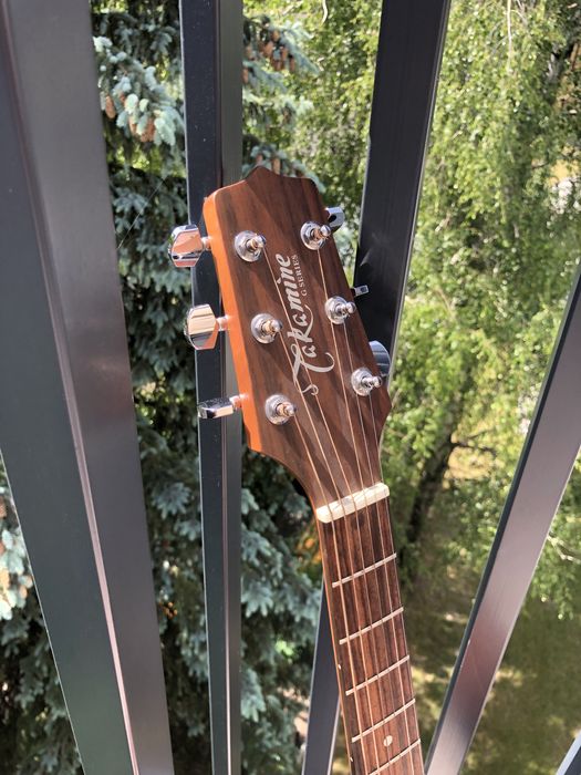 Gitara Takamine G220