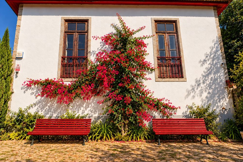 Bancos de jardim antigos em madeira e ferro fundido – Vermelho