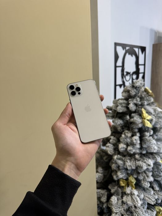 IPhone 12 Pro 128gb Silver Костюшка 5