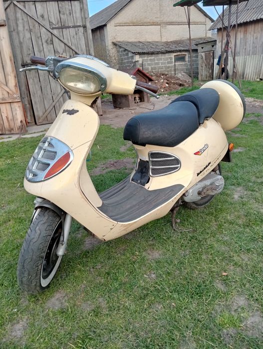 Skuter magagutti