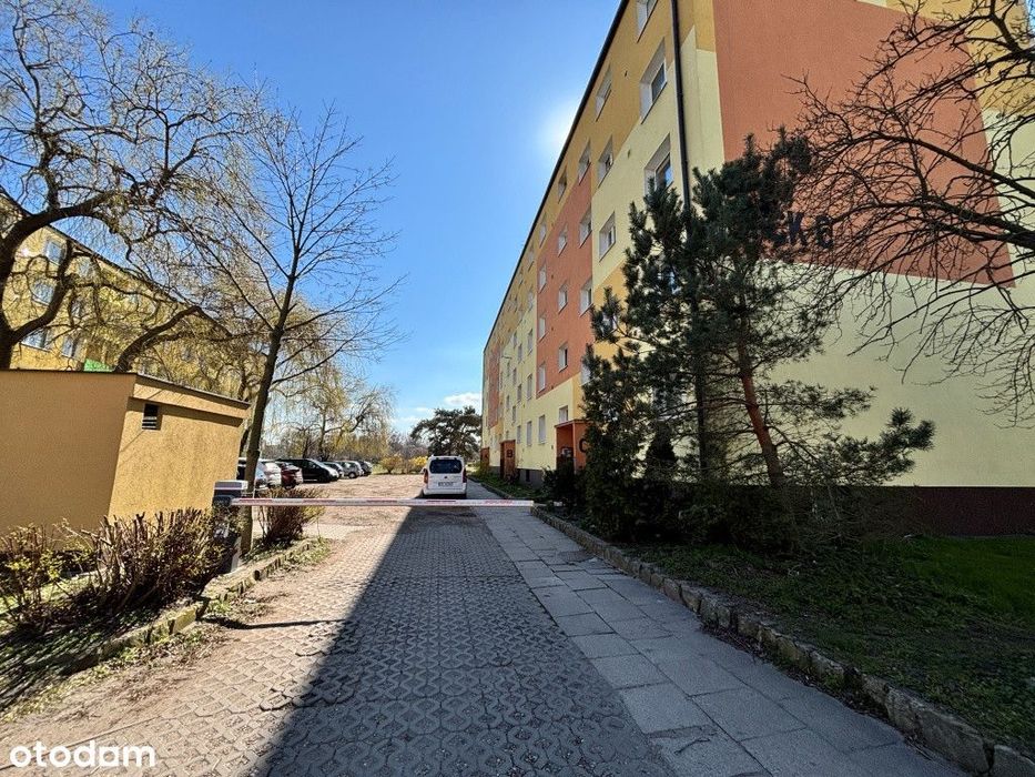 3 pokoje nad morzem - od zaraz - bez mebli