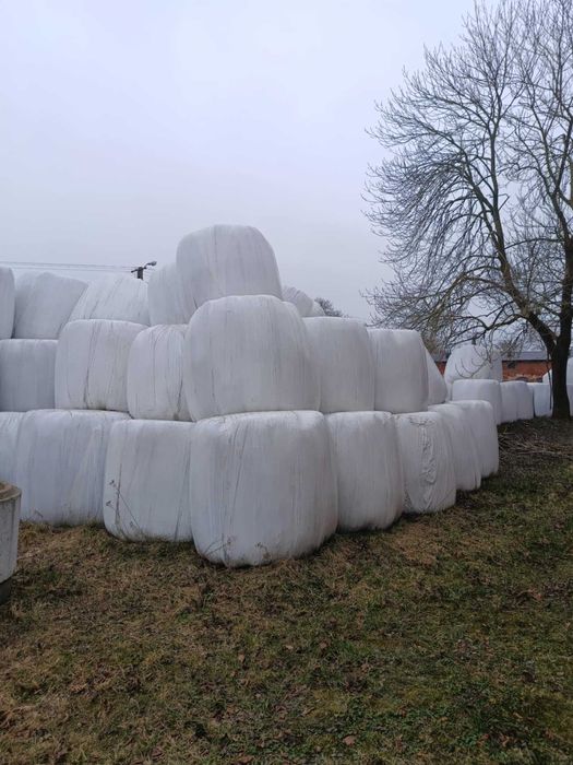 Siano Kiszonka bele 220cm