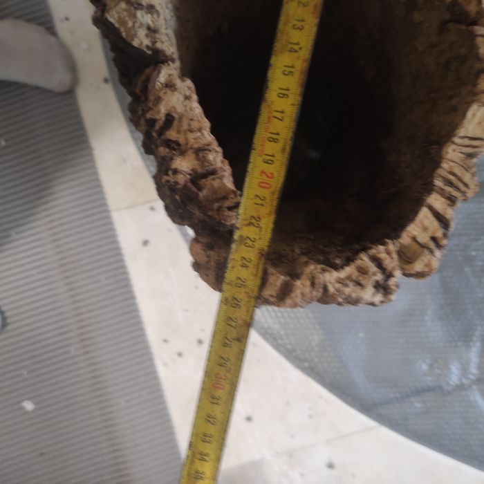 Kora do terrarium. Mega duża.