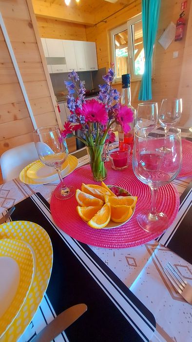 Leśne zacisze w Wisełce, morze, urlop, odpoczynek, las