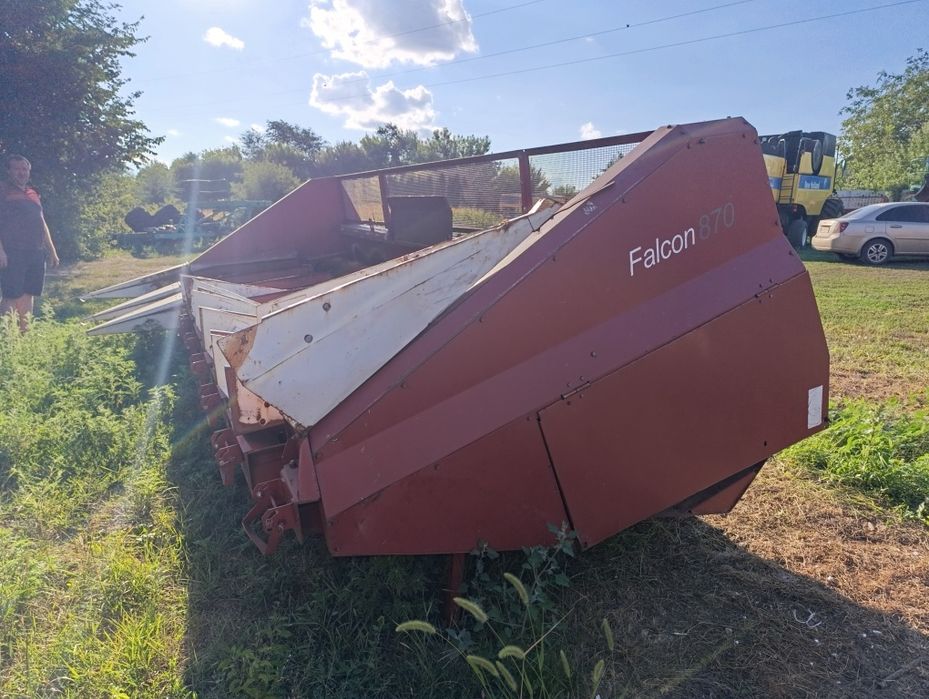 Жниварка соняшникова