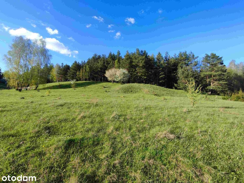 Siedlisko 7561 m², własny brzeg jeziora i las