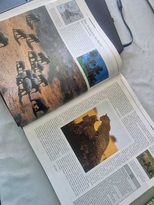 Enciclopédia da História Mundial - Tesouros da Humanidade e da Natureza - Público