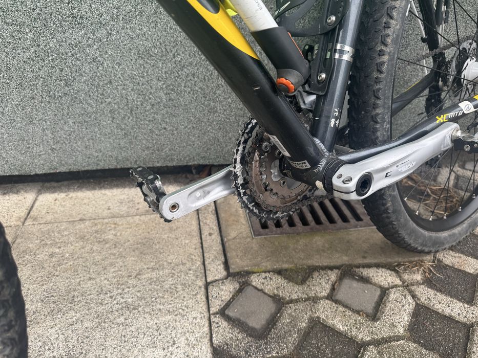 Author Dexster 29er 19