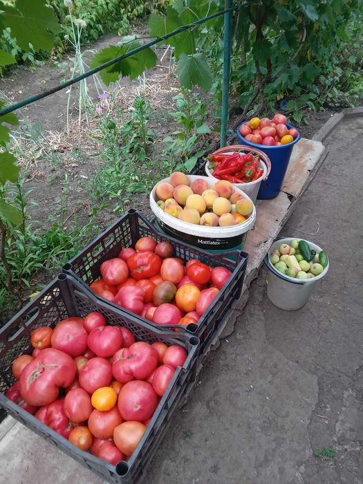 Продається дача Центр-Міський район біля Макулану