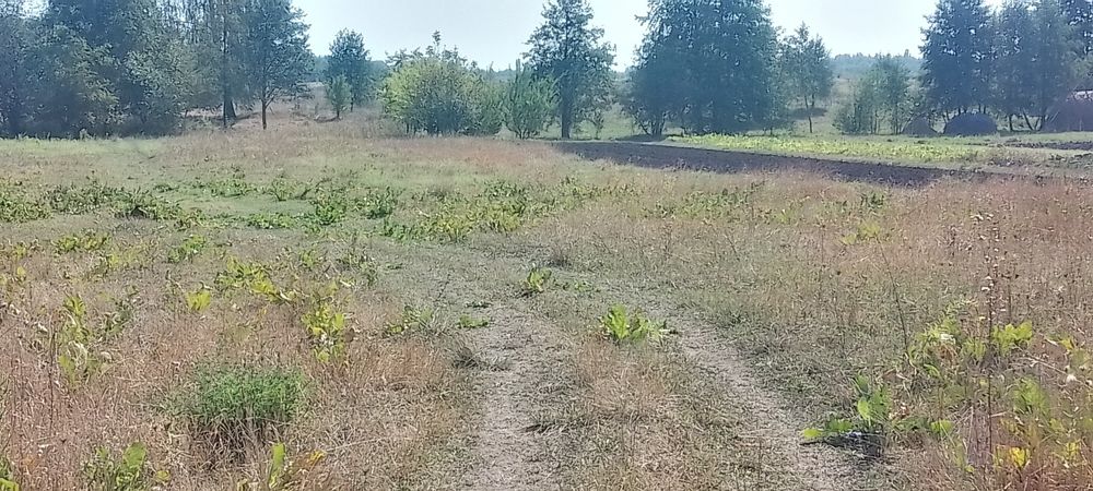 Продам земельну ділянку Глибочиця.