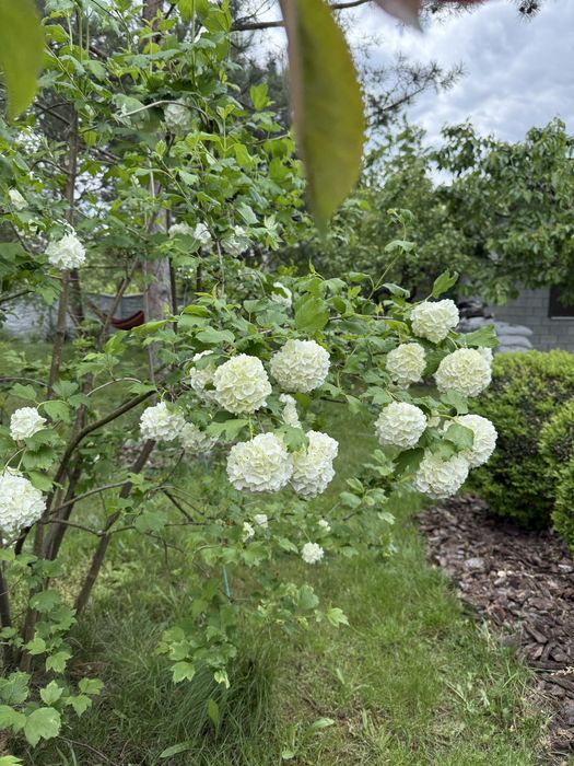 Дом-дача в Пещанке