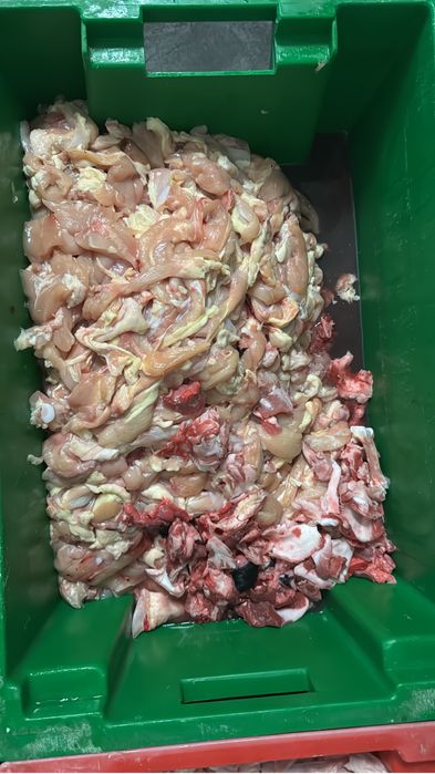 Корм собакам свежый