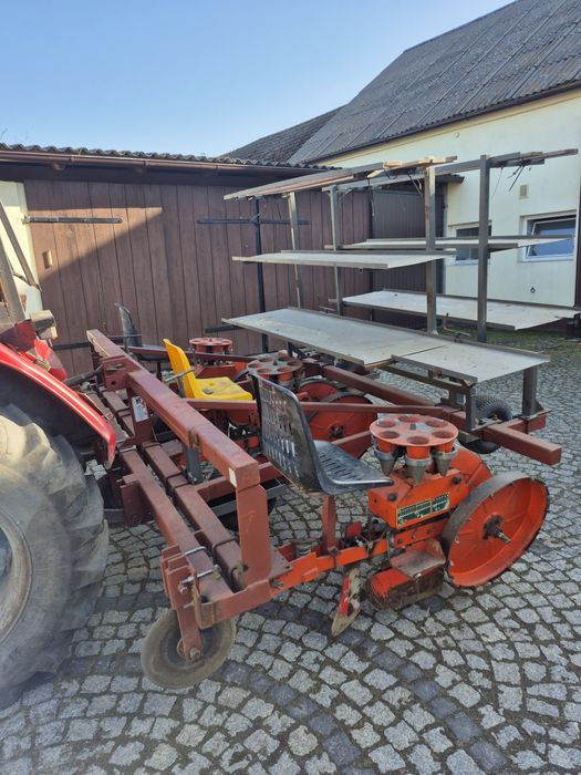 Sadzarka checchi magli Ferrari karuzelowa