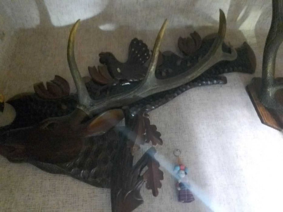 Рога,коллекция,5экз.