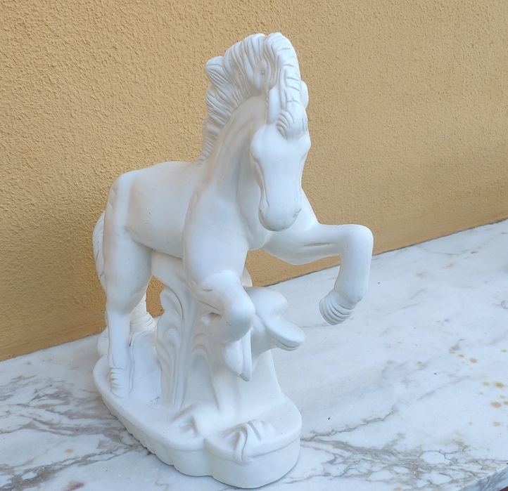 Cavalo Branco Selvagem