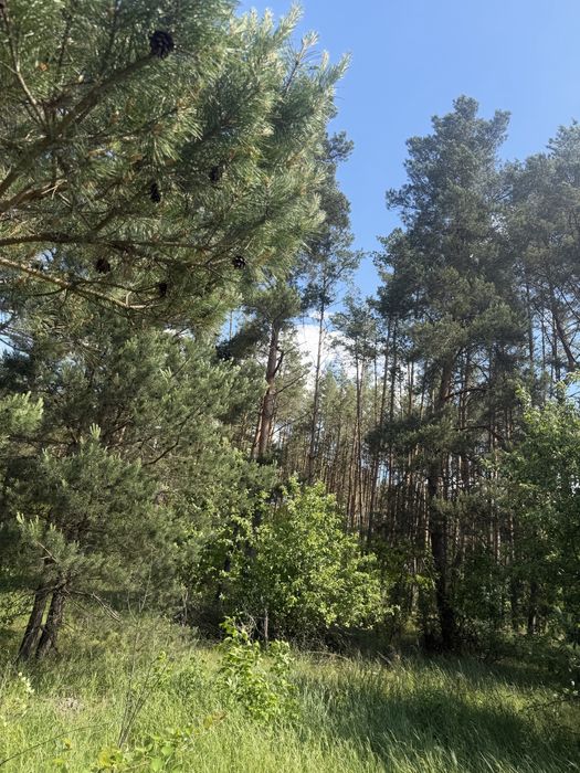 Продається земельна ділянка біла лісу