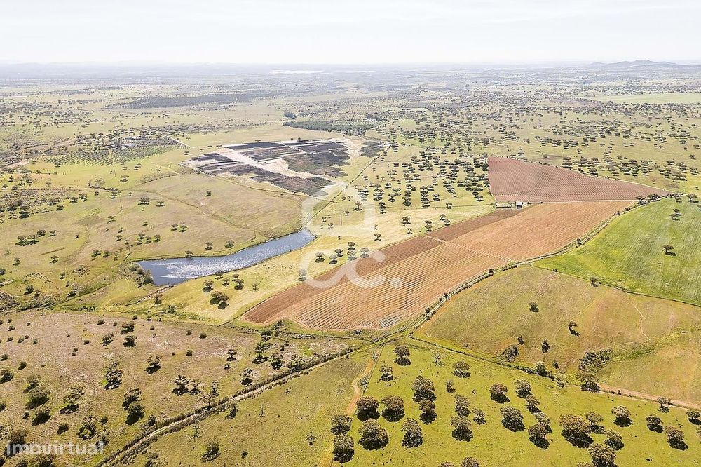 Herdade de 36 ha c/ Vinha, Montado, Recursos Hídricos e Potencial Turí