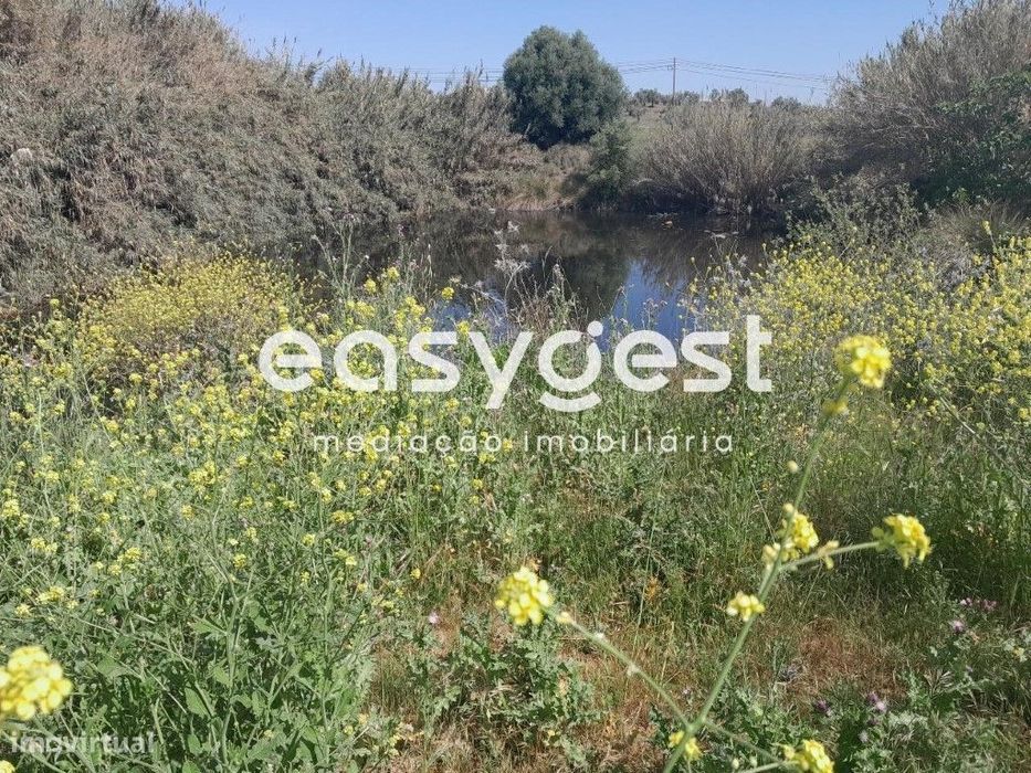 Terreno em Beja com 20.000 m2, acesso pela Estrada Nacional