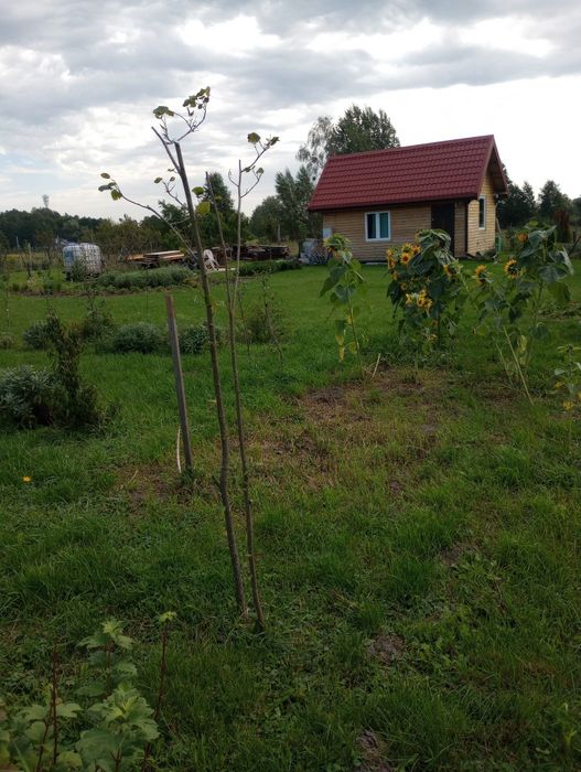 Zdjęcie 3