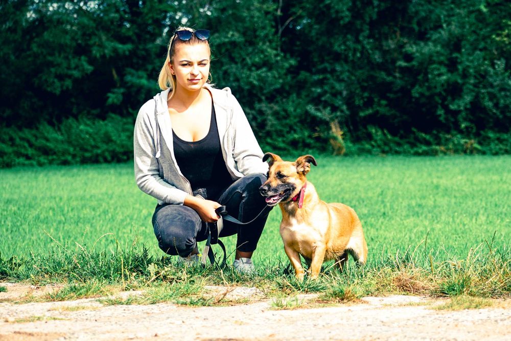 Aurora - niewielka, łagodna sunia szuka domu