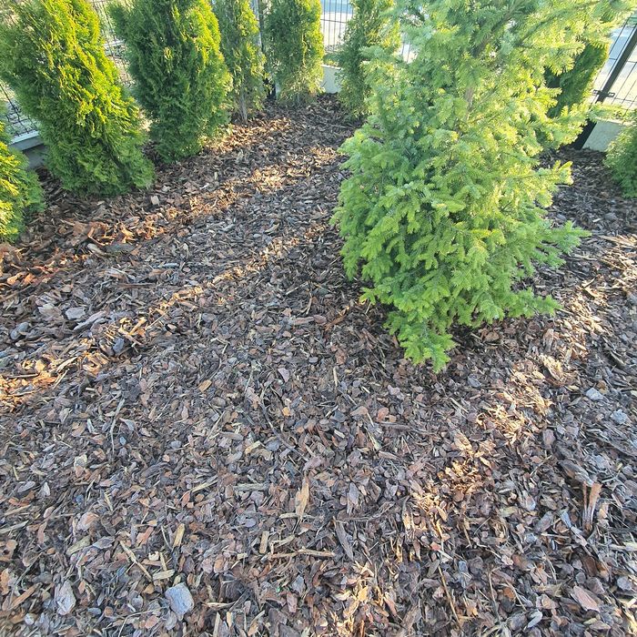 Kora sosnowa workowana 80l