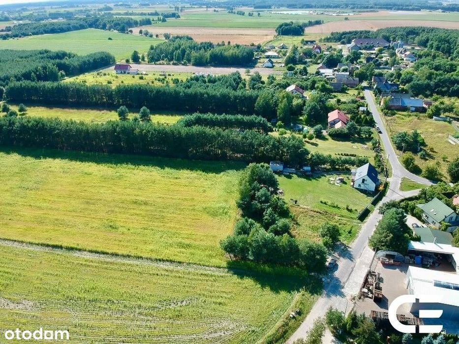 Budowlana | Zimnica | 1206 m2 | 137 zł m2