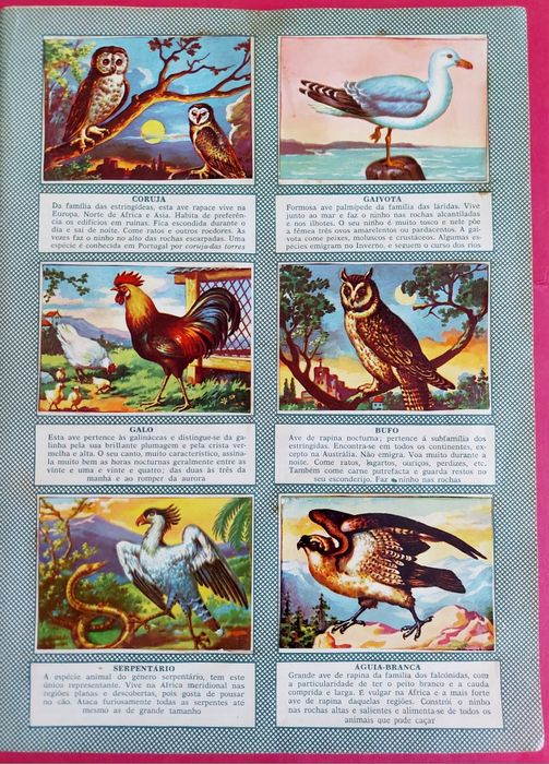 Caderneta 1958 História Natural
