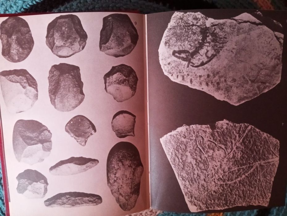 H. N. Savory - Espanha e Portugal