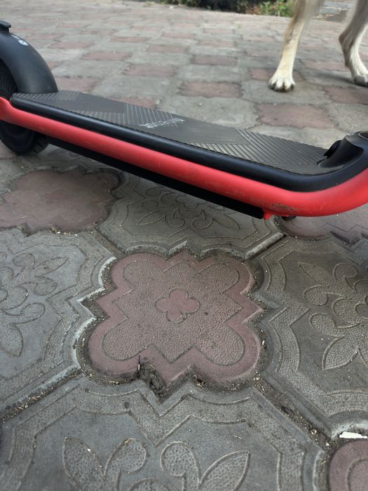 Електросамокат Segway Ninebot C20